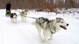 WE WENT SLEDDING | Episode 316