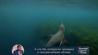 Толкование суры 95, «ат-Тин» ("Смоковница")