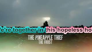The Pineapple Thief - The Frost (KARAOKE)