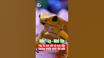 Top 10 con vật có nọc độc khủng khiếp nhất thế giới #top10thuvi #pets #dongvat #animals #nọcđộc