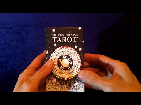 КАРТЫ ТАРО: ДИКОЕ НЕИЗВЕСТНОЕ ТАРО - Wild Unknown Tarot | таролог Алехандро Таро