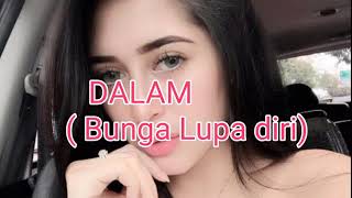Bunga lupa diri