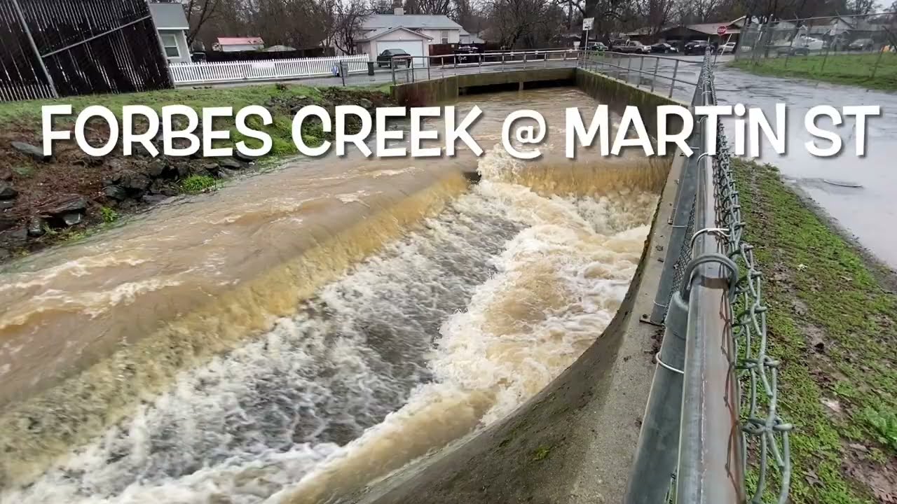 Forbes Creek; Lakeport CA January 5 2023