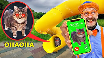 OIIAOIIA CAT come to NIKPIG funny moments Spinning Cat Meme Remix 2025