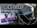 New Tier 10 Horse!! - Black Desert Highlights and Funny Moments #215 (PVP, PEN, etc)