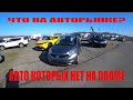 АВТОРЫНОК ЗЕЛЕНЫЙ УГОЛ 2020 ОКТЯБРЬ ЧТО ПРОИСХОДИТ СКОЛЬКО СТОЯТ АВТО РЫНОК ЖИВЕТ