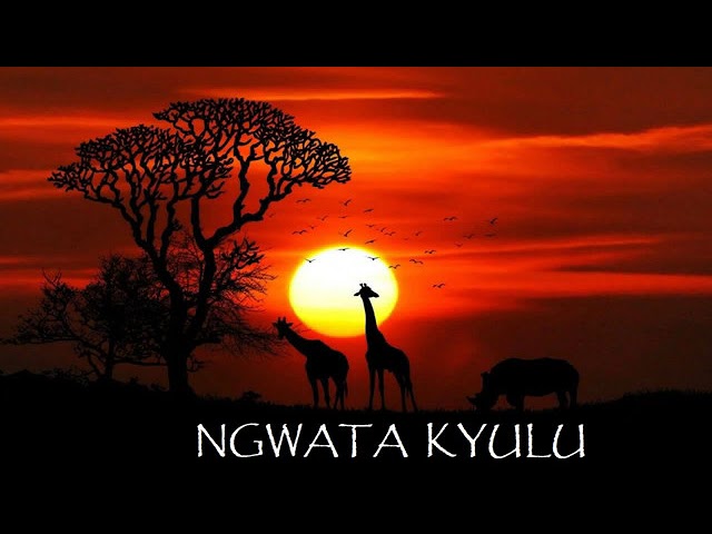 Ngwata Kyulu by Peter MUAMBI Kyanganga Boys Band class=