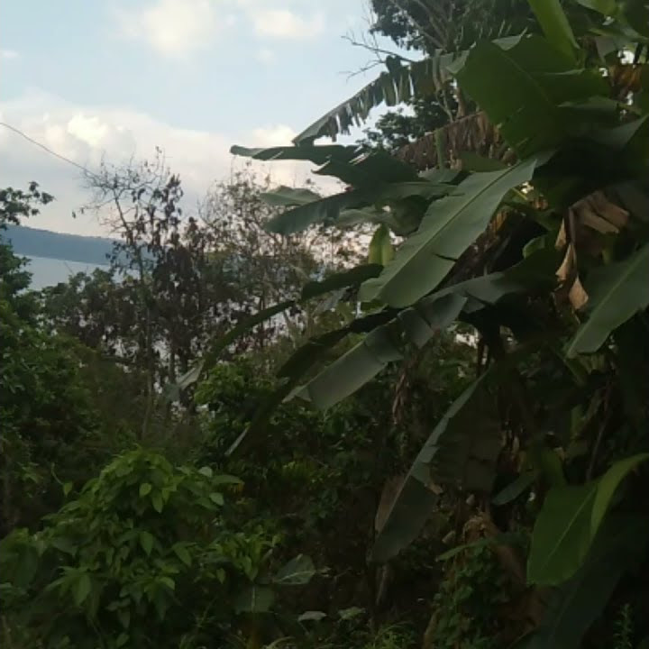 pesona danau Ranau dari kaki gunung seminung,#ranaulake