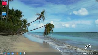 Celebrity How to install BigLinux Net Worth