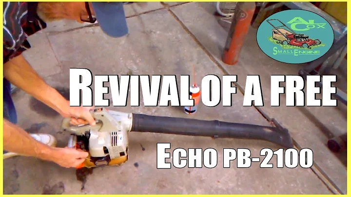 FREE ECHO PB 2100 HIPA Carburetor Replacement