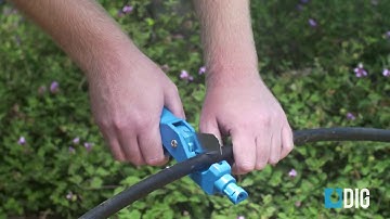 Drip Irrigation Installation Basics - DIG Corporation