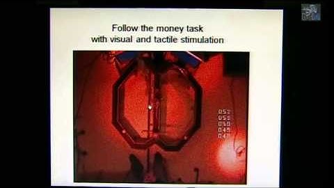 Cyriel Pennartz BCBT13