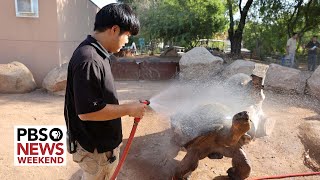 Heat Diaries: What it’s like living through Phoenix’s historic heat wave