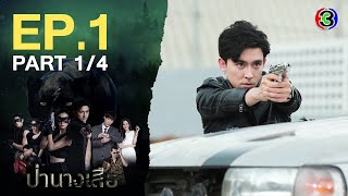 ป่านางเสือ The lady of the forest EP.1 ตอนที่ 1/4 | 27-02-66 | Ch3Thailand