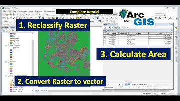 Reclassify and convert Raster to vector and calculate area using ArcGIS expanded