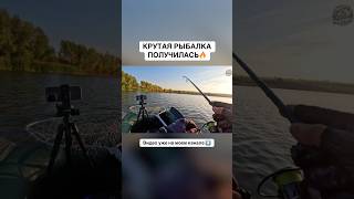 КРУТАЯ РЫБАЛКА ПОЛУЧИЛАСЬ! #рыбалка #спиннинг #fishing #щука #юмор #рекомендации #ржака