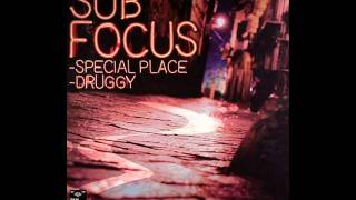 Watch Sub Focus Special Place video