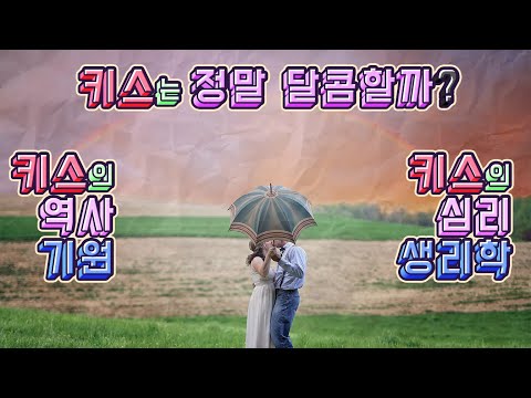 키스는 정말 달콤한가? - 키스에 관한 모든것 알아보겠습니다.