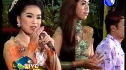 ADI LARAS ALL ARTIS