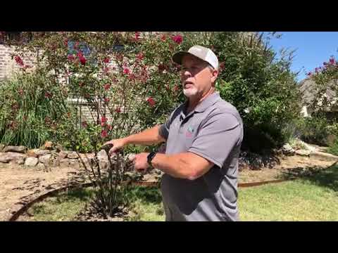Sprinkler Repair And Installation Contractor In McKinney Shows Modifying Existing Irrigation System @irrigationsprinklerssystem1238