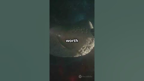 Why NASA is obsessed by the Asteroids