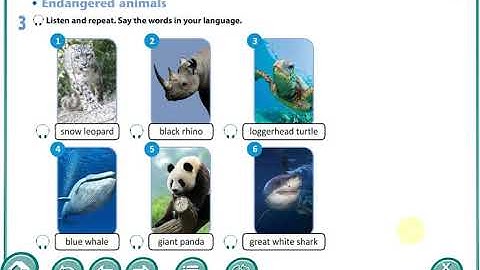 Excel 8th grade. Endangered animals