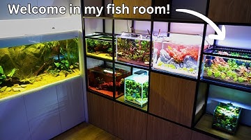 EPIC Fish Room Tour! All my aquariums and no secrets!