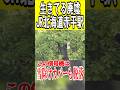 生きてる廃墟の駅ってなんだ？