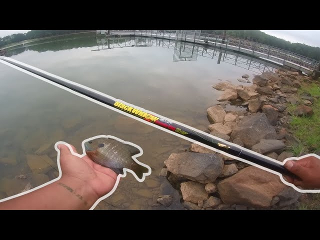 FISHING WITH A BnM 13' BLACK WIDOW CANE POLE 