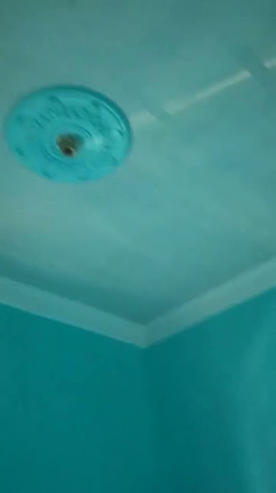 Mojoagung Jombang ( WA.089696263456 )