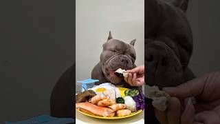 Im A Big Bull Terrier