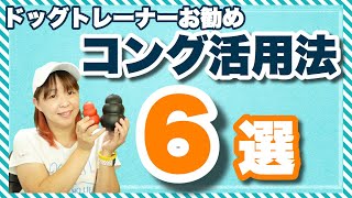 【犬 コング】コングの有効活用法　ドッグトレーナーのおすすめ６選