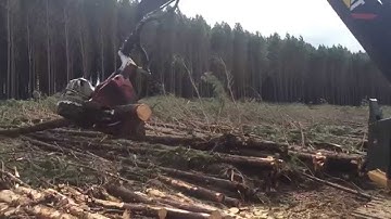 Logmax 7000C Poclain MS11 CAT 320 DFM