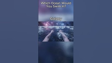 Which Ocean Would You Swim In? #ai #animation  #asmr