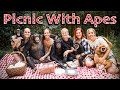 WILD FAMILY PICNIC WITH APES | Myrtle Beach Safari
