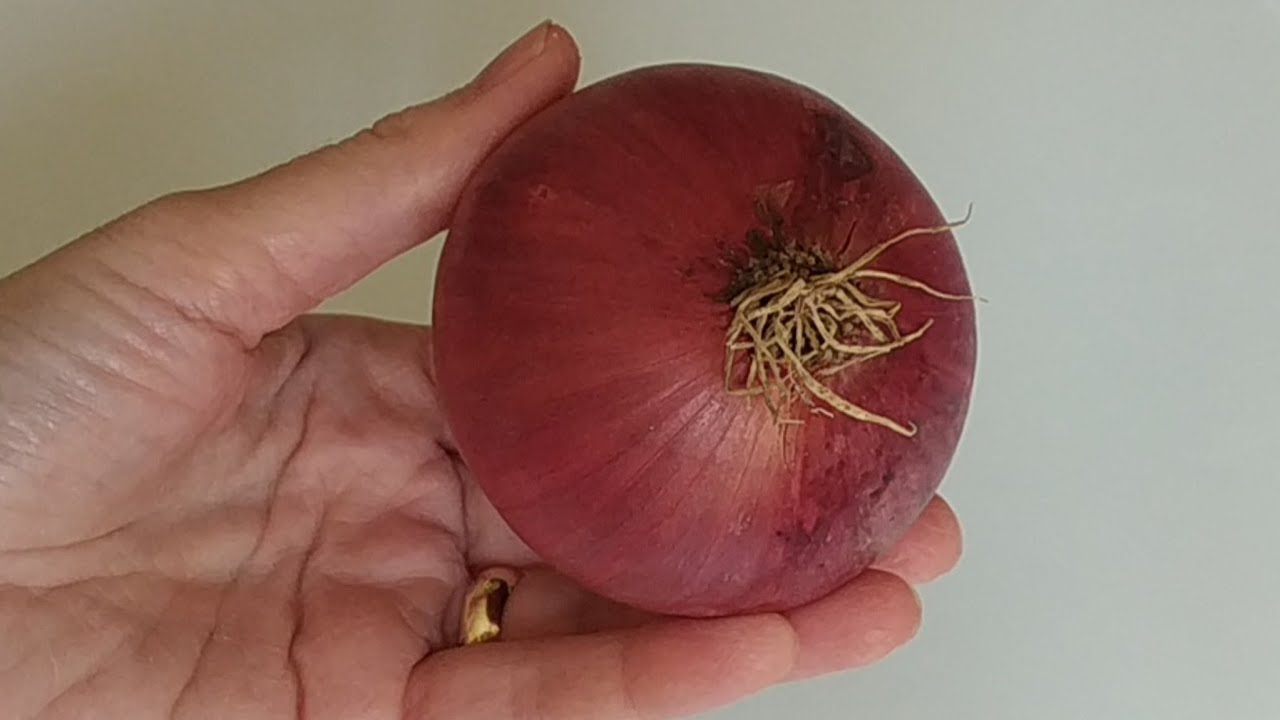 1 ADET SOĞANLA İFTARA 2 DAKİKADA HAZIRLAYIN ???????? ÖĞRENDİĞİMDEN BERİ HER GÜN YAPIYORUM/yemek tarifleri