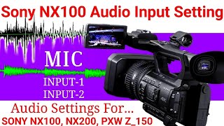 Sony Nx100 Audio Input Settings Sony Nx100 Audio Settings