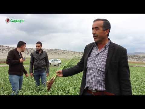 Gapagro Mühendis Danışmanlarımızın