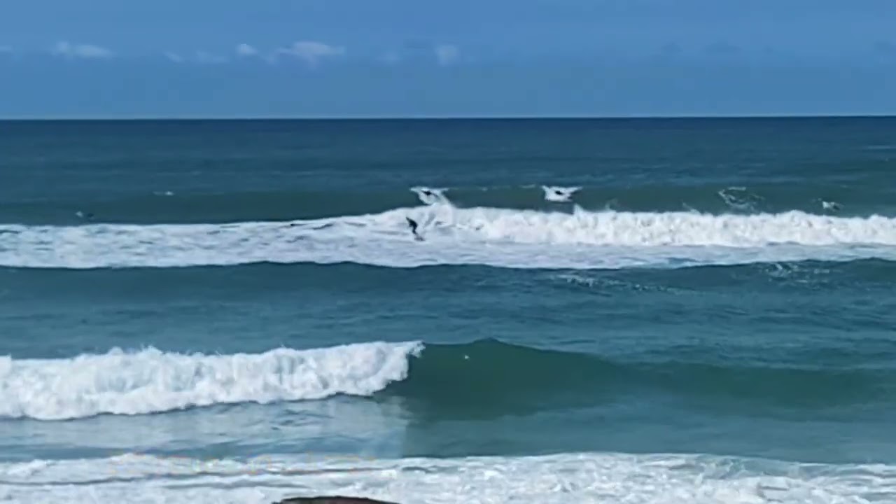 lestada no quintal mas a 3w salvou a manhã - surf report 5w aloha