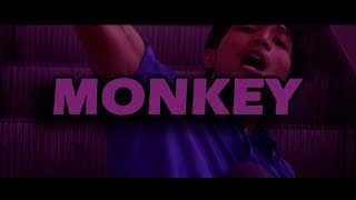 Xotagon - Monkey