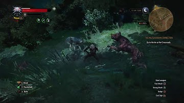 The Witcher 3: Wild Hunt – Maiden runs off - The Nilfgaard Connection