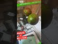 Seed coin EXposed! scam Exploitation complaints #scam #crypto #airdrop