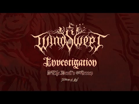 Windswept - Investigation (Official Audio)