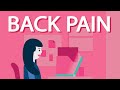 Why We Have Back Pain & Backache? How to Avoid it & How to Fix it?