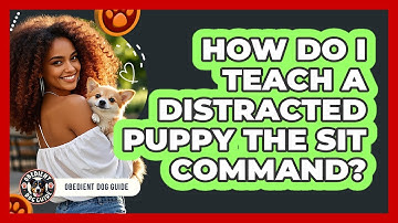 How Do I Teach A Distracted Puppy The Sit Command? - Obedient Dog Guide