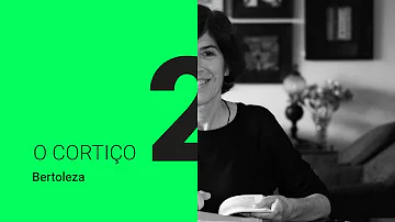 O que acontece com Bertoleza?