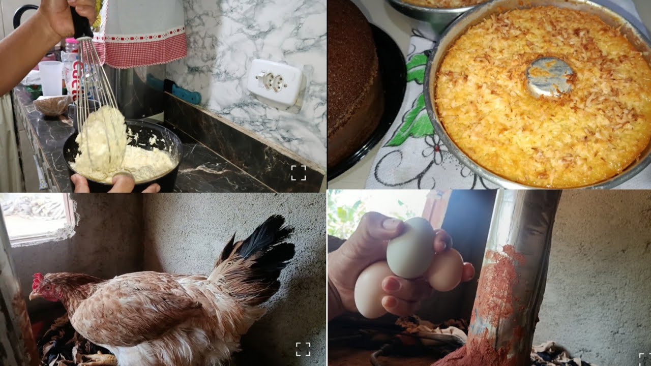 COMECEI CEDO NA MINHA LUTA COM OS BOLOS/OLHA SÓ ONDE ELA VEIO POR SEUS OVOS 🤭🤣