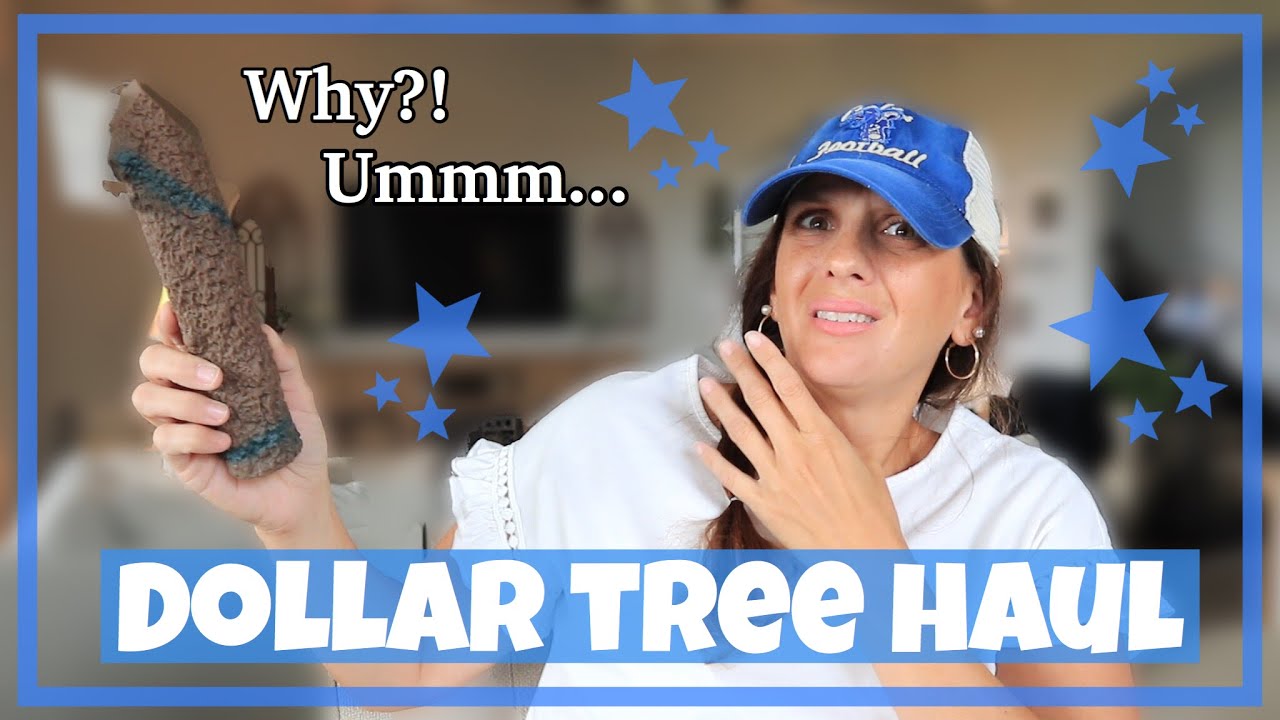 HUGE DOLLAR TREE HAUL **BRAND NEW** $65.00+ DOLLAR HAUL!