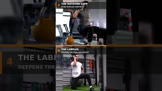 The shoulder exercises most programs skip 💪