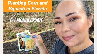 Planting Corn, Squash and Watermelon in Zone 9B